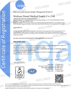 Wellmed ISO 13485 - 2022